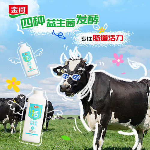金河益生菌低温酸牛奶原味朗姆味大桶装风味发酵酸奶1kg*2 - 图0