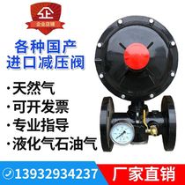 Gas Pressure Regulators Industrial Pressure Valve Gas Pressure Pressure Pressure Valves LIQUEFIED GAS PRESSURE VALVES RTZF COMBUSTION ENGINE BOILER