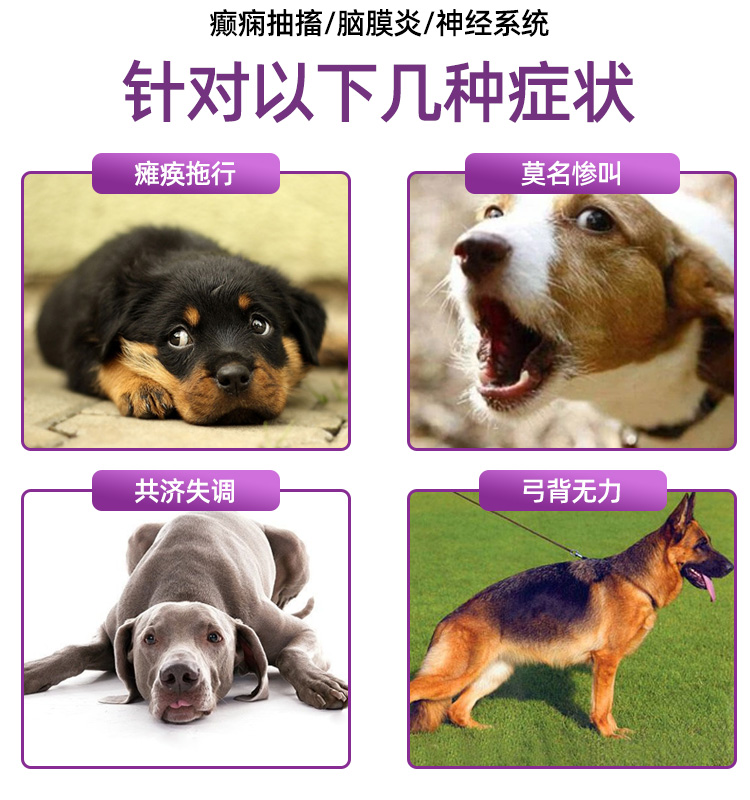 安迪康LA3000宠物癫痫狗狗神经炎猫脑膜炎痉挛抽搐犬瘟后遗症拜恩 - 图0