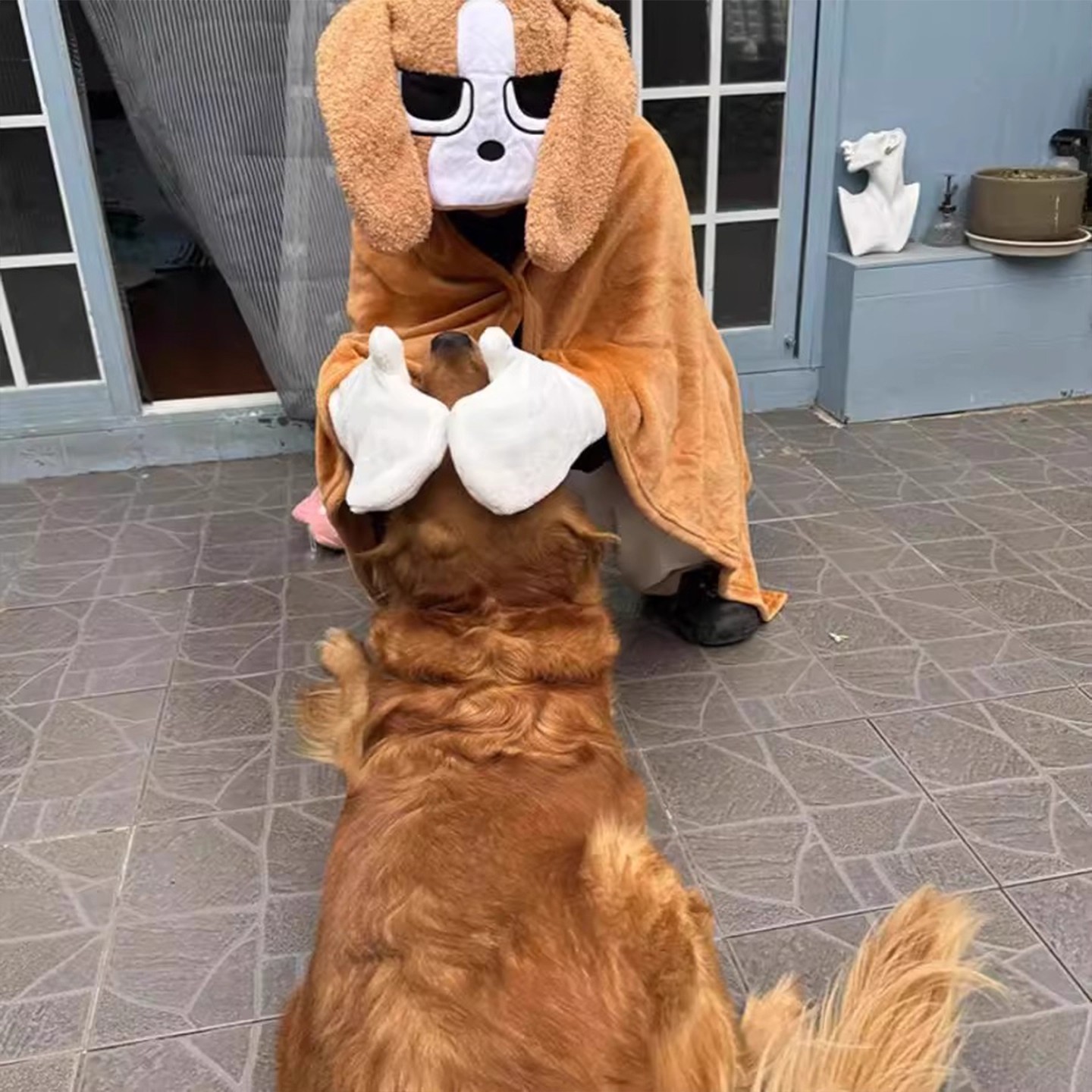 搞稀奇古怪冬天生日礼物送女朋友男整蛊多栋比格犬毛毯圣诞节新年 - 图1