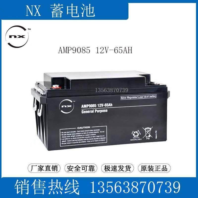 NX蓄电池12V45AH AMP9041 通讯/UPS应急直流屏机房 S 12V-45AH FR - 图1