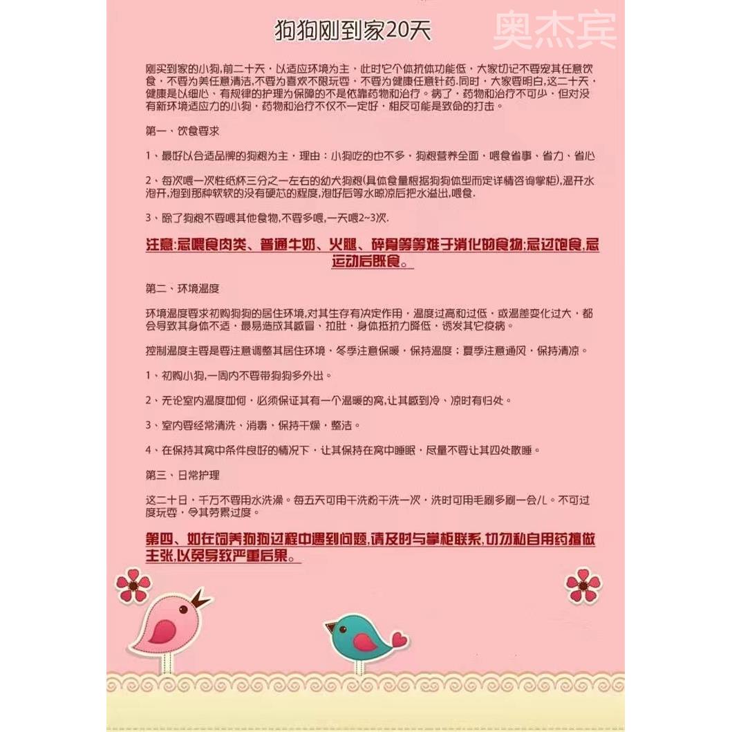 纯种卡斯罗犬幼犬活体大型犬猛犬意大利卡斯罗护卫犬看家护院狗狗 - 图2