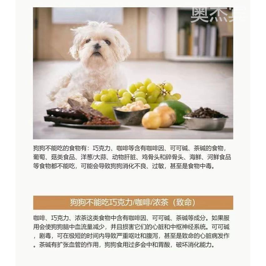 纯种边牧幼犬陨石边境牧羊犬三通七白边牧黑白高智商宠物幼崽狗狗-图3