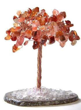 直销天然招财树钱袋树发财树摇钱树商务礼品摆件定制