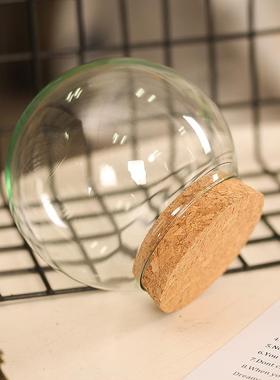 供应永生花玻璃罩透明玻璃微景观防尘罩子创意家居摆件工艺品定制