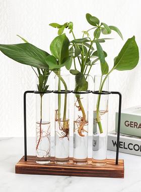 供应北欧简约铁艺木制试管玻璃摆件水培绿植花插花瓶室内玄关定制