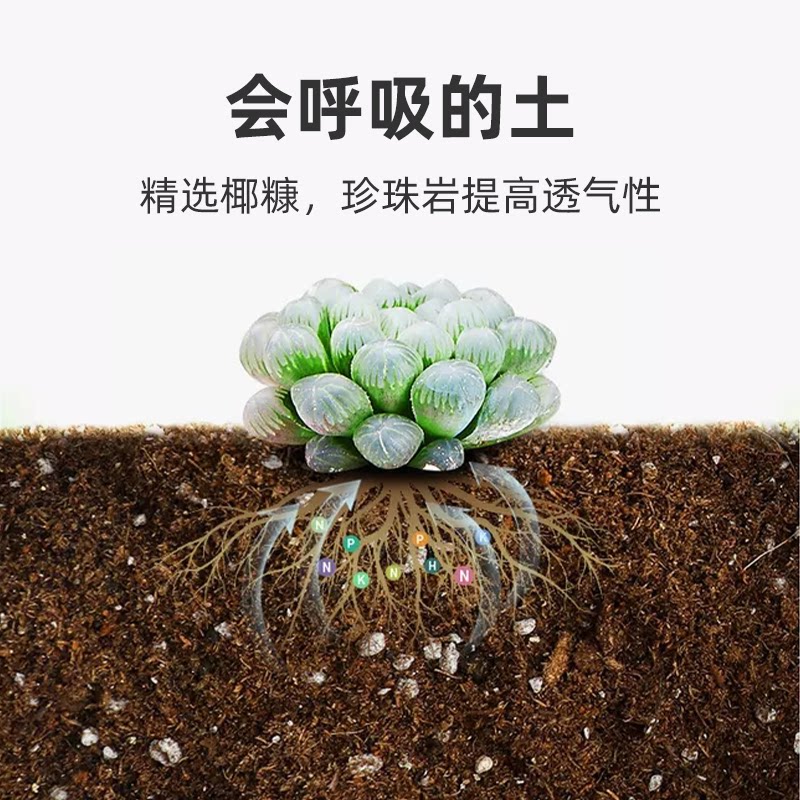 肥小美通用营养土养花种菜盆栽种植家用花土有机营养泥土植物专用