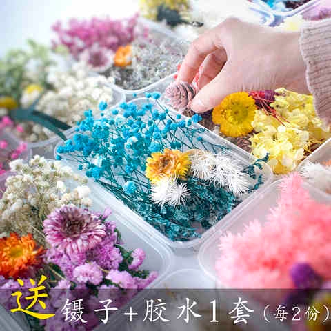 痛包装饰物DIY混装花盒混合干花花材包手工材料包家居装饰真花风7