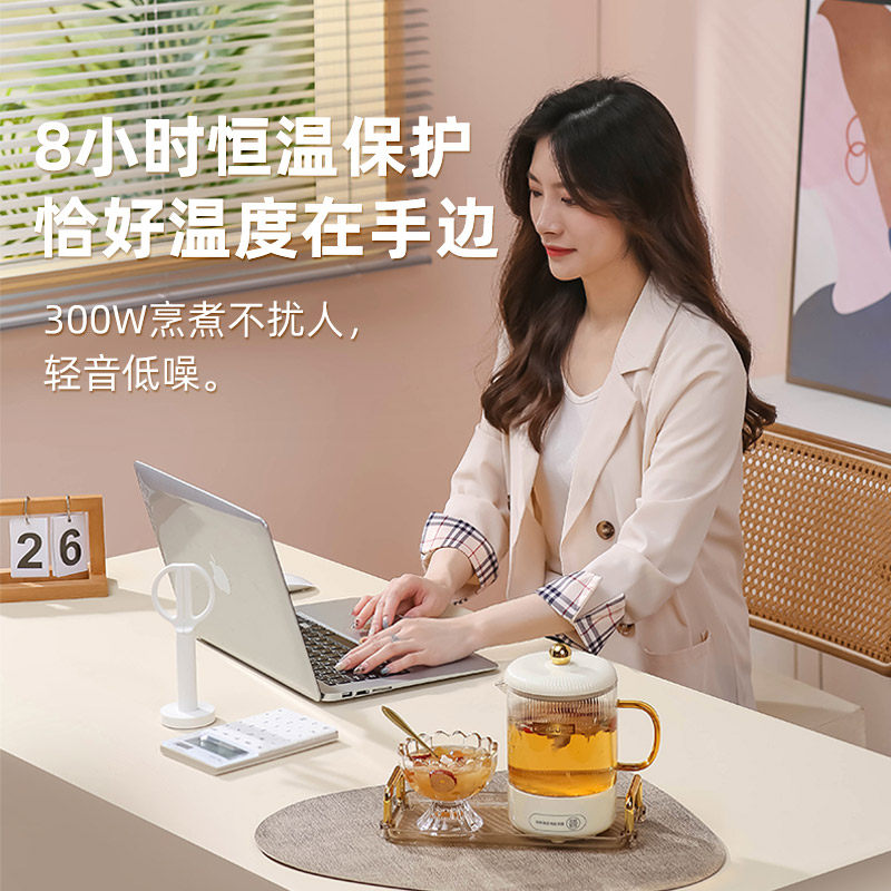  博熙养生壶/煎药壶