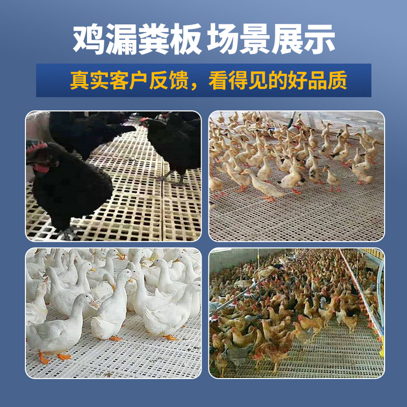 鸡粪漏粪板养鸡网格板鸡笼塑料垫网鸡鸭鹅窝拉屎板鸽子鸵鸟舍脚垫,淘宝优惠券,粉丝福利购,淘宝优惠卷