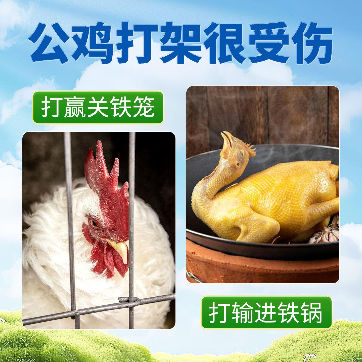 鸡眼镜公鸡防打架鸡用眼罩新款特大号鸡戴的眼镜防啄母鸡踩蛋眼镜,淘宝优惠券,粉丝福利购,淘宝优惠卷