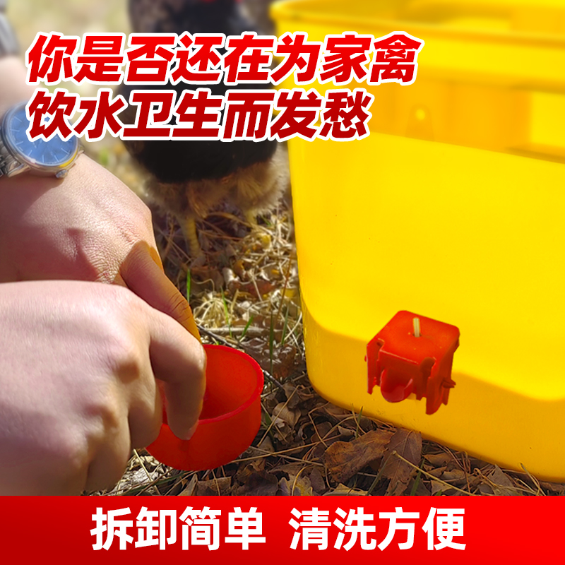 鸡饮水器养鸡鸭自动喝水懒人喂鸡神器新型鸡鸭鹅水壶养殖喂鸡水槽 - 图1
