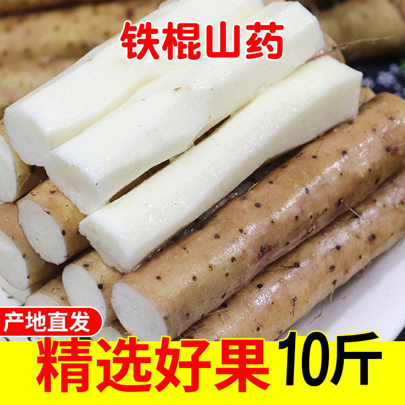正宗垆土地铁棍山药新鲜小白嘴麻山药棒10斤铁杆淮山河南焦作蔬菜