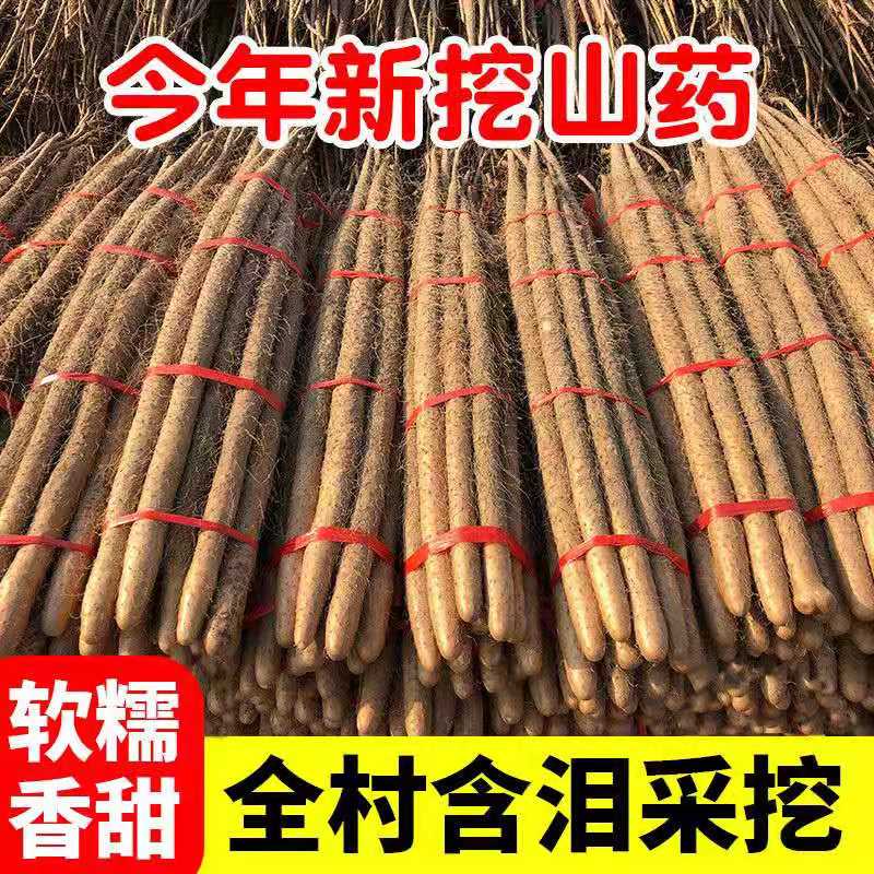 正宗焦作温县垆土10斤铁棍山药新鲜山药温县特产淮山药怀山药粉糯 - 图0