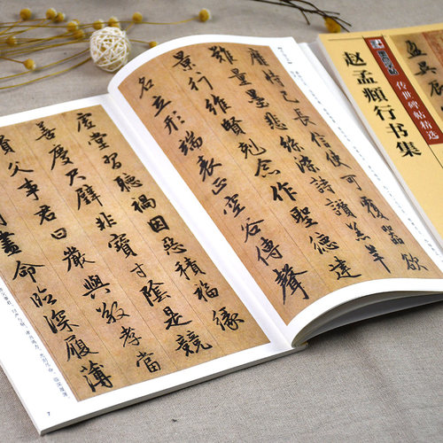赵孟頫行书集 赵体行书书法毛笔字贴 千字文赤壁赋陋室铭秋兴赋 临摹碑帖法书附注释 墨点字帖湖北美术出版社 - 图2