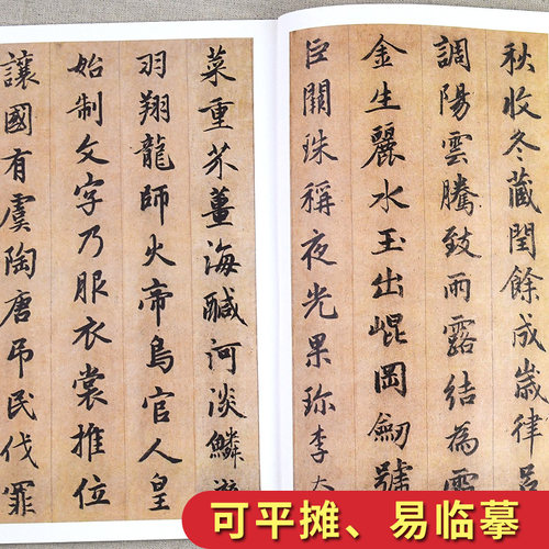 赵孟頫行书集 赵体行书书法毛笔字贴 千字文赤壁赋陋室铭秋兴赋 临摹碑帖法书附注释 墨点字帖湖北美术出版社 - 图3