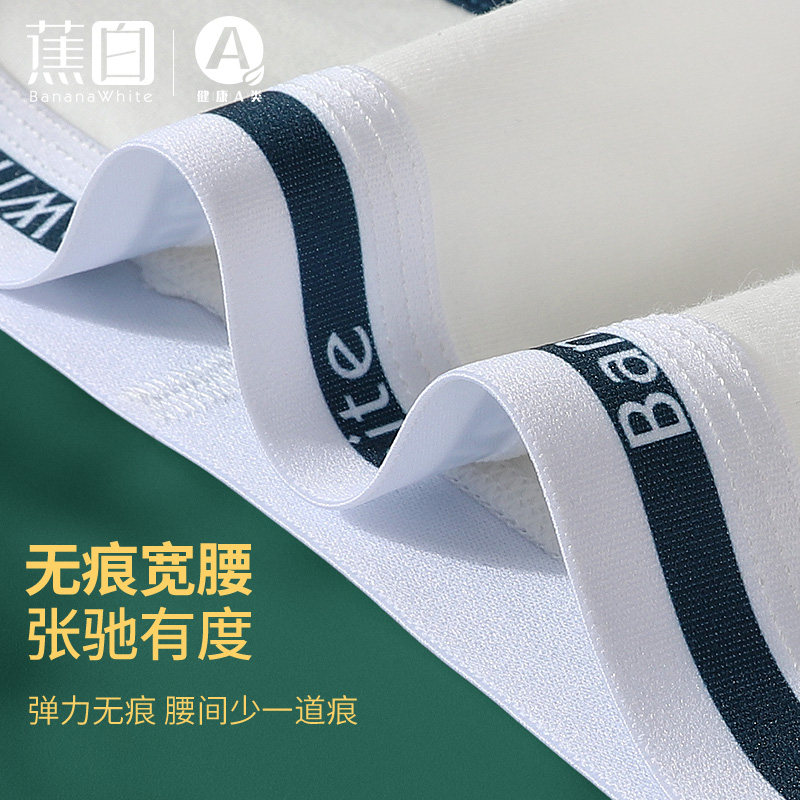 白色纯棉女士健身运动透气三角裤 蕉白女三角裤