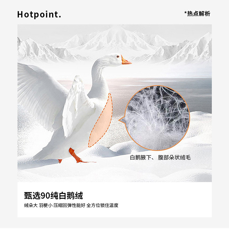 【高端鹅绒】比华利保罗秋冬季新款男士羽绒服透气连帽外套