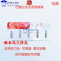 Dental Material Pecking Wood Pecking Machine Ultrasonic Cutter Head Series Original work pointed handpiece with high temperature