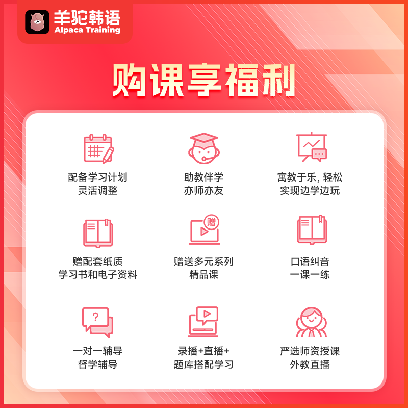 羊驼韩语网课一对一口语发音考级入门直达TOPIK2级4级6级直播课程 - 图3