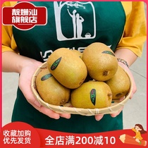 Shunfeng 5 catty boxes loaded with Sichuan yellow heart chic exotic fruit big gold and golden fruit chic exotic fruits yellow flesh