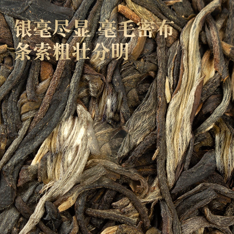 普洱茶生茶饼特级头春明前春尖茶云南易武麻黑古树茶生普357g饼茶