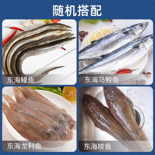 海杂鱼新鲜活冷冻舟山海鲜海鳗鱼鲳鱼小黄鱼龙利鱼米鱼墨鱼马鲛鱼 - 图1