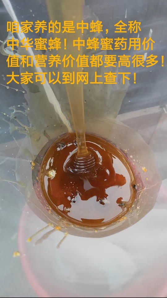 自养自销蜂蜜中蜂蜜土蜂蜜农家蜜百花蜜纯天然孕妇老人小孩都适合-图3