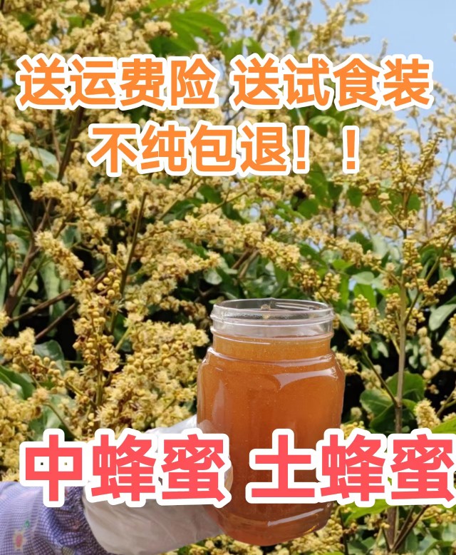 农户自养蜂蜜中蜂蜜土蜂蜜农家蜜百花蜜纯天然适合孕妇老人小孩 - 图0