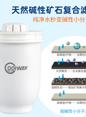 弱碱性滤水壶利尿降尿酸胃酸反胃