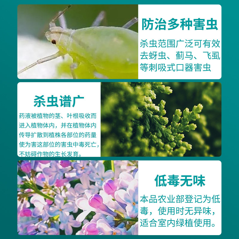 国光毙克吡虫啉蚜虫飞虱蓟马柑橘月季多肉植物通用家用粉剂杀虫剂 森源植保 淘优券