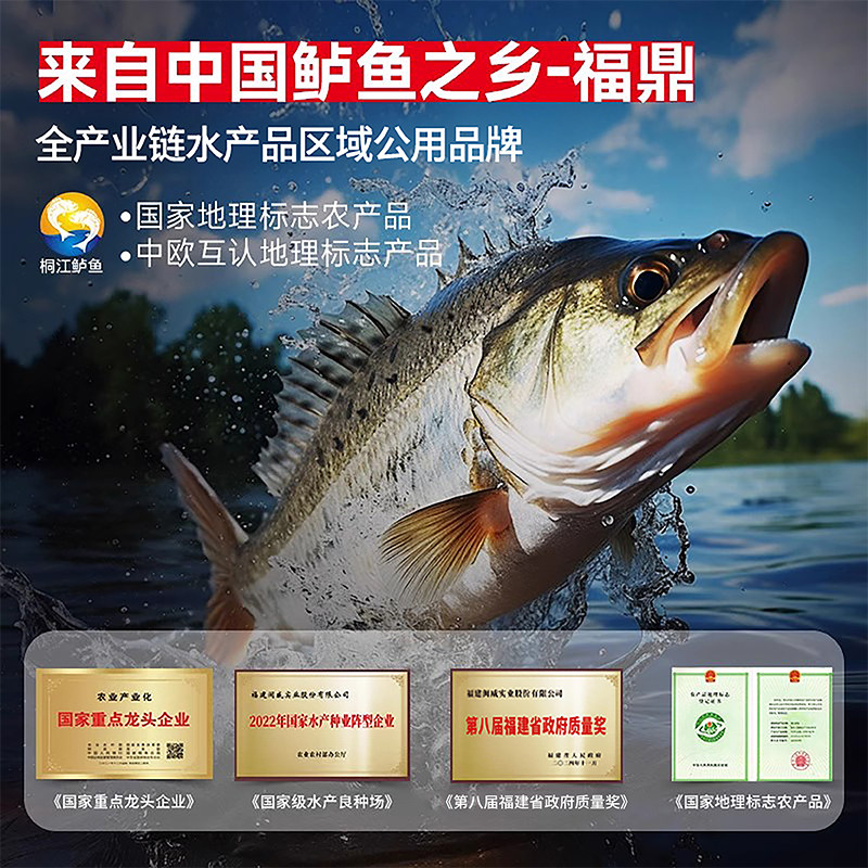 闽威海鲈鱼新鲜海鲜半成品去鳞去鳃去内脏三去开背免处理550g*2条