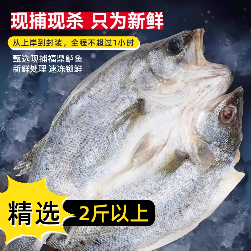 闽威海鲈鱼新鲜海鲜半成品去鳞去鳃去内脏三去开背免处理550g*2条