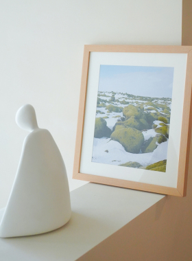 【新品】冰岛苔原燕子摄影作品