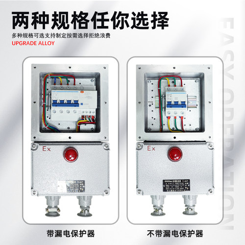 防爆断路器BLK52-16A20A32A63A80A100A漏电开关箱2p3p照明控制箱 - 图3