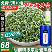 Special Grade Baguette Spring Tea Green Tea Green Tea 2023 New Tea Alpine Dense Fragrant front tender buds Mao Jian Spring Tea yourself drink 250g