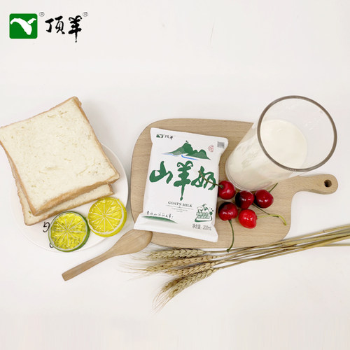 顶羊山羊奶枕装200ml*12袋新鲜非纯羊奶儿童成人老人早餐奶全脂型 - 图1