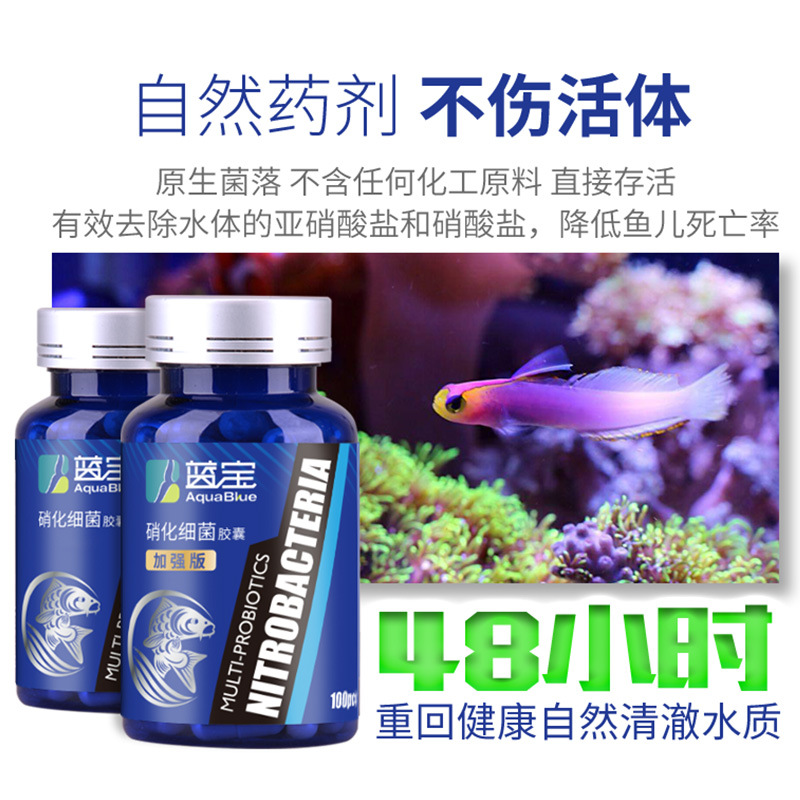 硝化细菌鱼缸水族箱浓缩硝化菌干粉胶囊稳定水质水族药剂净化水质 - 图0