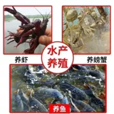 Сельскохозяйственная посадка аквакультура коричневый сахар и животноводство