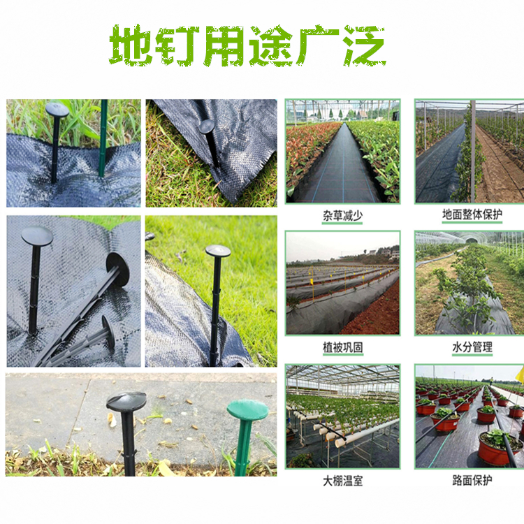 厂家直销加粗除防草布塑料园艺地钉大棚遮阳防虫网拉枝地膜地钉子 - 图2