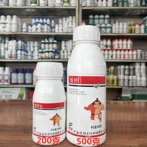 50%噻嗪酮蚧壳虫杀虫介壳虫专用药柑橘柿子果树多肉飞虱杀虫剂药 - 图1