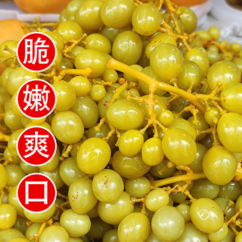 广西灵山特产酸野新鲜腌制水果酸李子萝卜葡萄芒果沙梨三月李桃子,淘宝优惠券,粉丝福利购,淘宝优惠卷