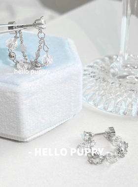 hellopuppy双层水晶链条耳钉