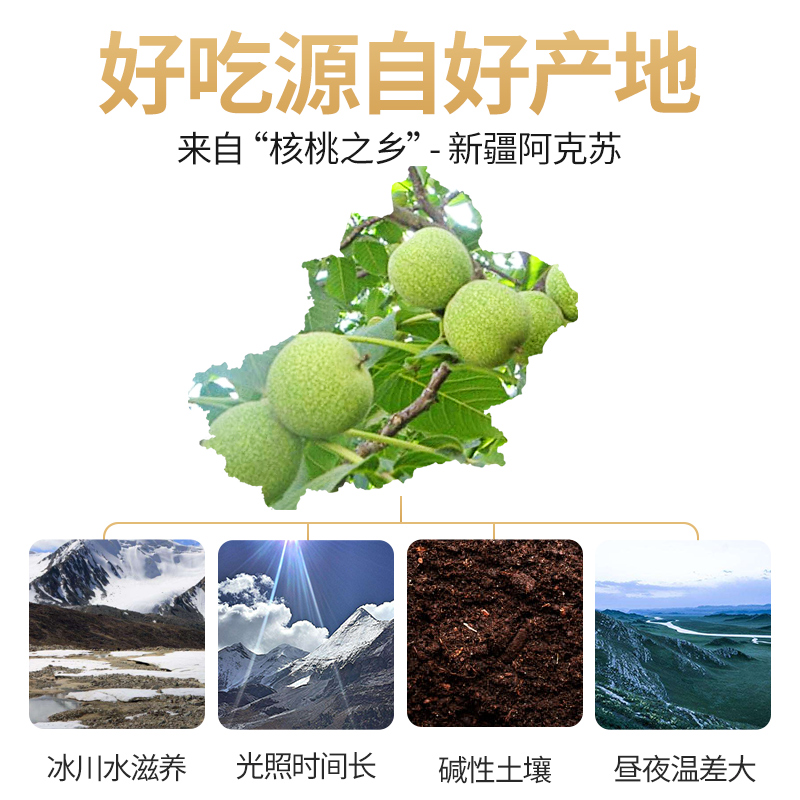 新疆特产纸皮薄壳2019新货大核桃 口袋时光纸皮/薄皮核桃