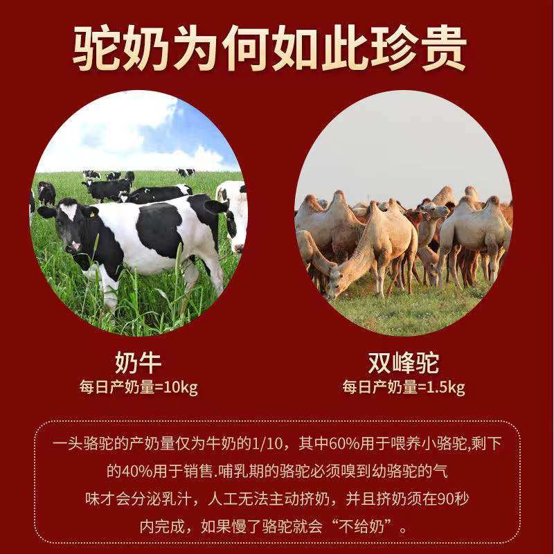 驼奶补钙儿童青少年成人官方高钙片 小禾诗蔓医疗器械钙铁锌/钙镁