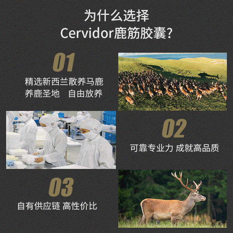 Cervidor新西兰进口鹿筋胶原蛋白中药补充马鹿胶囊保健品1瓶/20g-图0