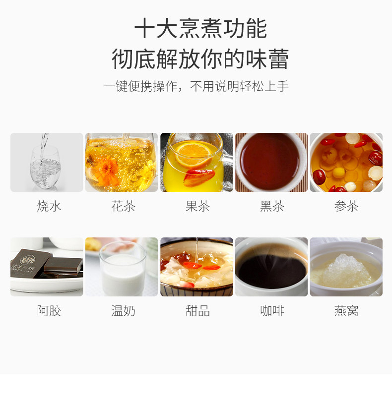 荣事达家用多功能隔水炖燕窝养生壶 荣事达多莱米养生壶/煎药壶