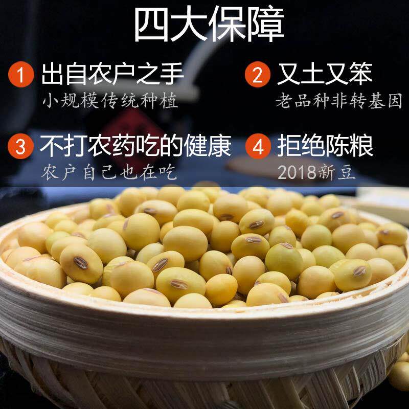 10斤东北大豆农家自种非转基因豆腐 趣郡主黄豆