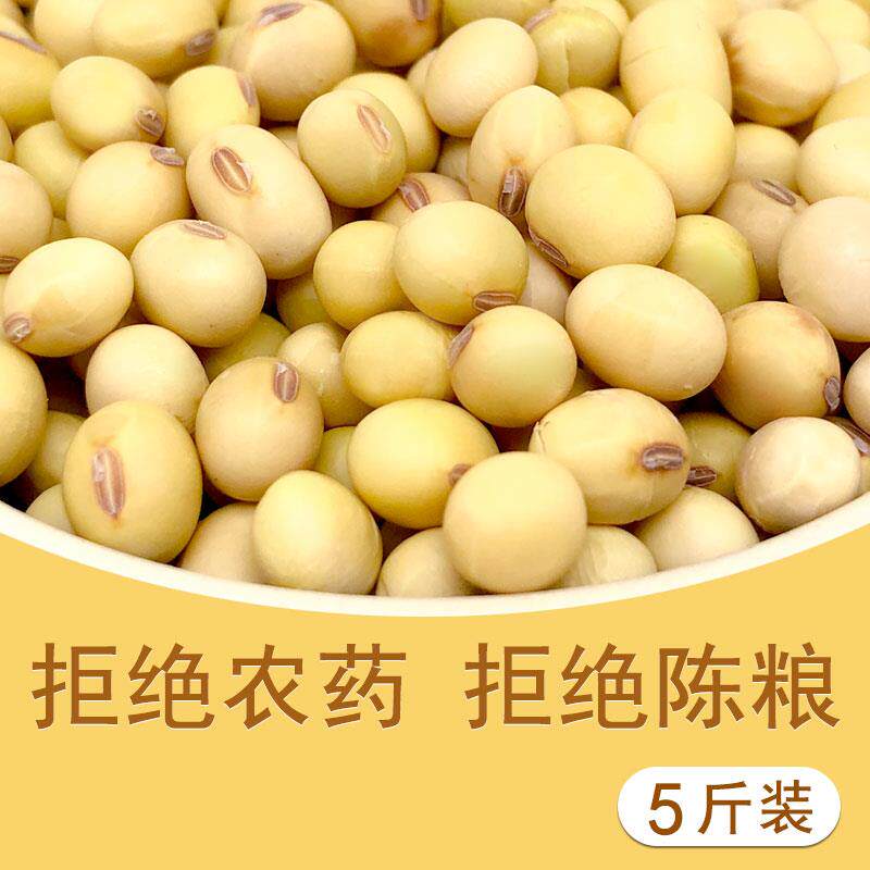10斤东北大豆农家自种非转基因豆腐 趣郡主黄豆