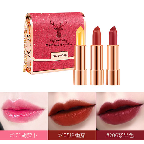 makeup lipstick set